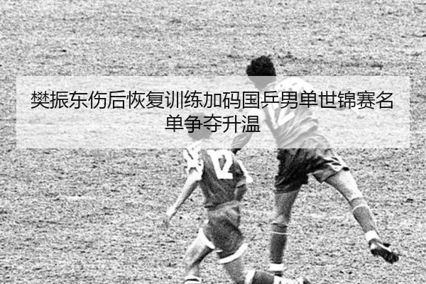 樊振东伤后恢复训练加码国乒男单世锦赛名单争夺升温 - KYgaming